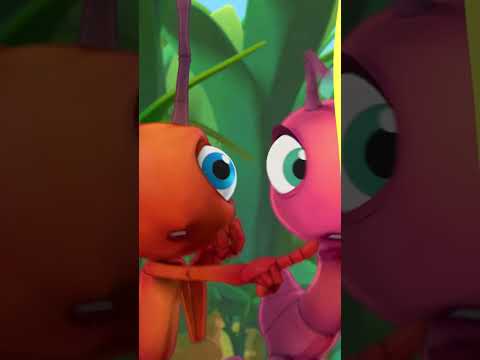 Rolling for Chocolate! | Antiks 🐜 | Funny Cartoons for Kids #shorts #antiks