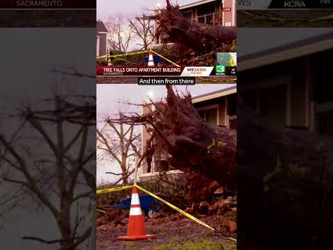 Massive tree topples onto Sacramento County apartment building