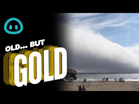 Huge Fog Cloud Over Beach || ViralHog