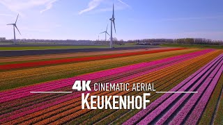 KEUKENHOF 🇳🇱 AMSTERDAM Drone 4K World's largest Tulip Fields 2025