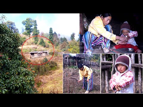 manjita's family in jungle sheep hut || shepherd life of Nepal @manjitacooking