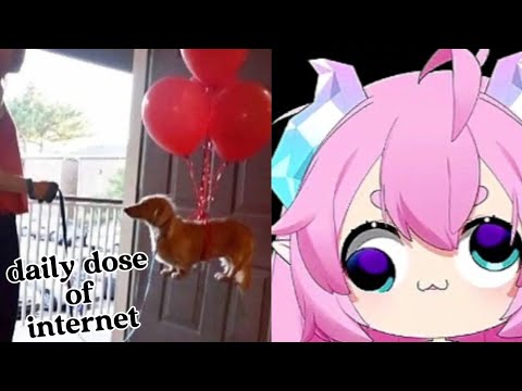 Chibi react | Daily dose of internet