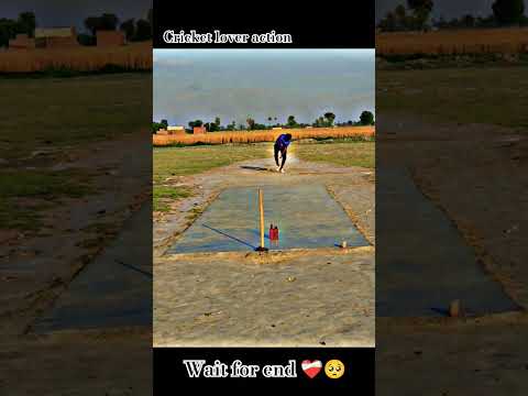 #cricket #cricketlover #viral #viralreels #siraj #viratkohli #short #shorts