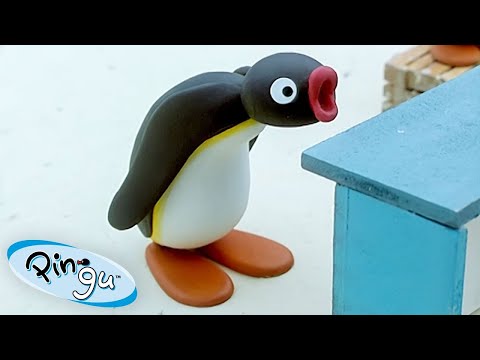 Pingu Loses 🐧 | Pingu - Official Channel | Cartoons For Kids