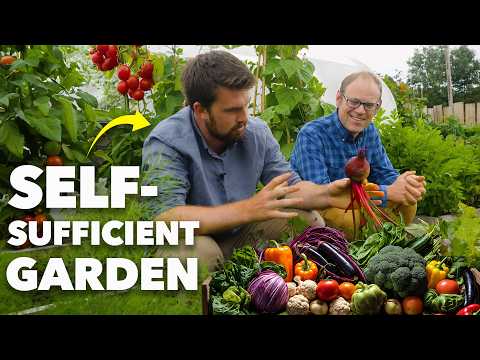 Self-Sufficient Garden: How he Grew 1,300lbs/580kg+ of Food (Huw Richards)