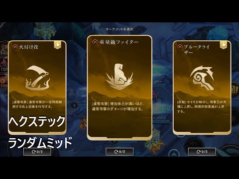 【ワイリフ】レンガ―【へクステックランダムミッド】重量級ファイターでタンクビルドMVP