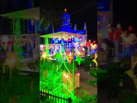 Goa church #viralvideo #travel #goa #christmas #newyear #church #greenery #explore