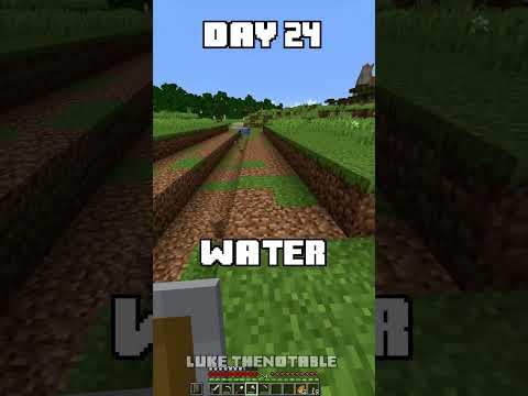 100 Days - [Minecraft Shorts] - Day 24 #minecraft #100days