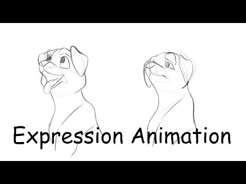 Shifting Expression - (2024) My Animation Training