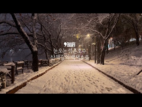 Snowfall on the walking path, ASMR of Seokcheon Lake on a snowy night