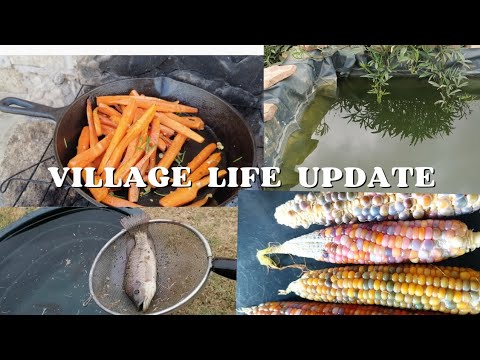 Homesteading in the village UPDATE | Mini vlog | Garden seasons