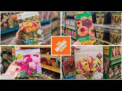 Home Depot 2025 Summer Bulbs! Incredible Variety!! February Inventory