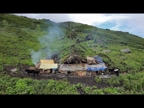 Himalayan Sheep Shepherd Life in Winter | Shepherd Food Cooking | Peaceful Himalayan shepherd Life