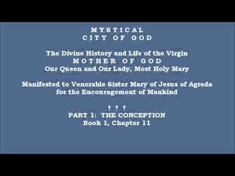 Book 1 - Chapter 11 - Mystical City of God: Divine History & Life of Mary, Mother of God