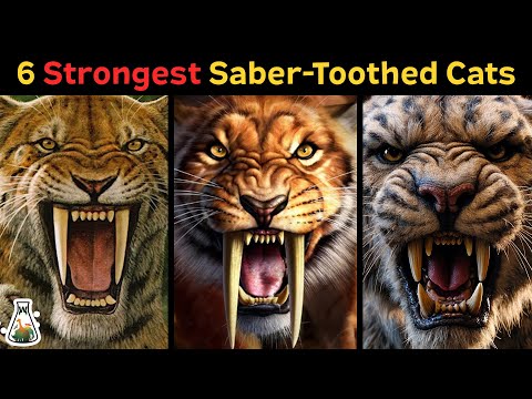 6 Most Powerful Extinct Saber-Toothed Cats