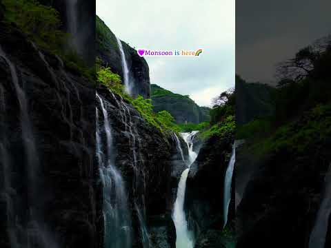 Majestic Devkund Waterfall 2023: Nature's Hidden Gem #shorts #devkund #monsoon #taminighat