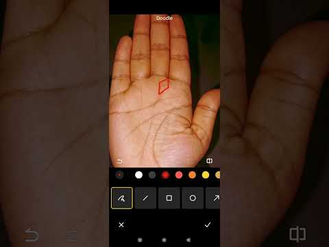 लम्बी आयु खूब धनवान  #palmistry #shortsvideo #viral #shorts