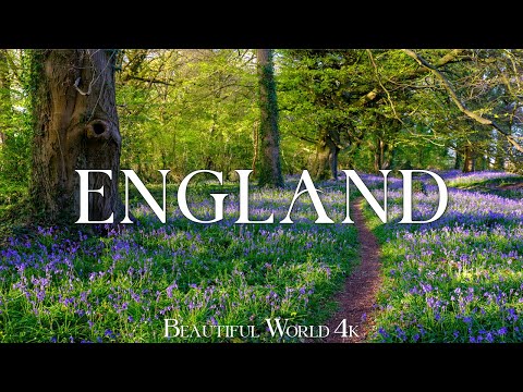 England 4K - Explore Daffodil Fields, Enchanting Gardens and Rolling Hills - Peaceful Piano