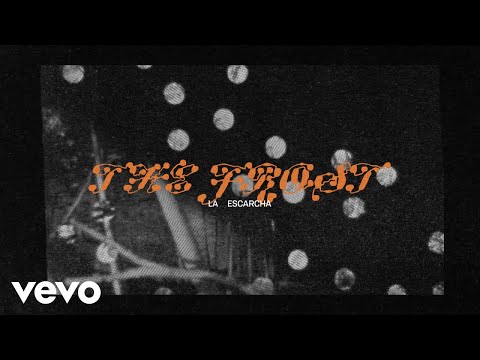 Mitski - The Frost (Spanish Lyric Video)