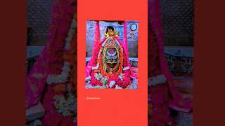 Mahakal darshn #श्री_महाकालेश्वर_ज्योतिर्लिंग_उज्जैन #shortsfeed #playlists  #भस्म_आरती_श्रृंगार