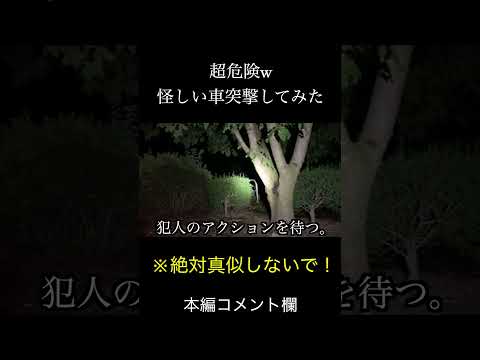 公園にいた怪しい車に突撃したらまさかの事態に#shorts #tiktok #おすすめ