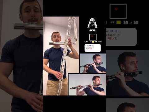 UNDERTALE - Fallen Down ❤️ Contrabass Flute