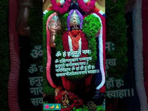 Jai Hanuman 🌺🙏 #viralvideo #shorts #hanumanchalisa #bhaktishorts #balaji #ytshorts #viralshorts