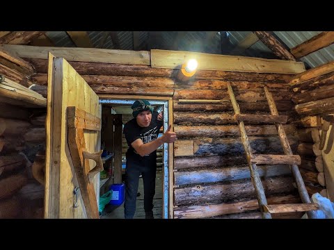 LIVE WITH MY DOG in a taiga LOG CABIN - spent the light in a log cabin, firewood for winter -Pt2