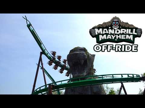 Mandrill Mayhem Off-Ride Footage (60FPS), Chessington B&M Shuttle Wing Coaster | Non-Copyright