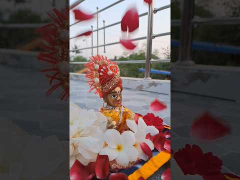 Tum Prem ho 🌸 Krishna 🙏🏻 #laddugopal #youtubeshorts #krishna