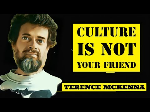 An Urgent Message to Humanity - Terence McKenna's Final Conclusion about Life