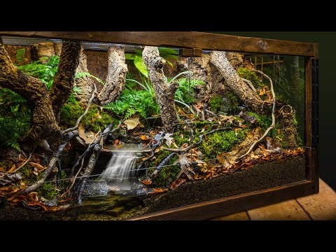 Realistic Indoor Meandering Creek Forest Biome Vivarium