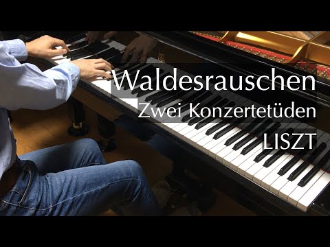 森のざわめき - 2つの演奏会用練習曲（リスト）Liszt - Waldesrauschen - 2 Concert Etudes - pianomaedaful