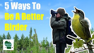 5 Game-Changing Tips for Taking Your Birding to the Next Level