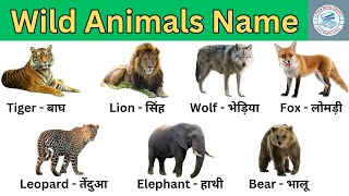 Wild Animals I Wild Animals Name in Hindi and English with Pictures & Video | जंगली जानवरों के नाम I