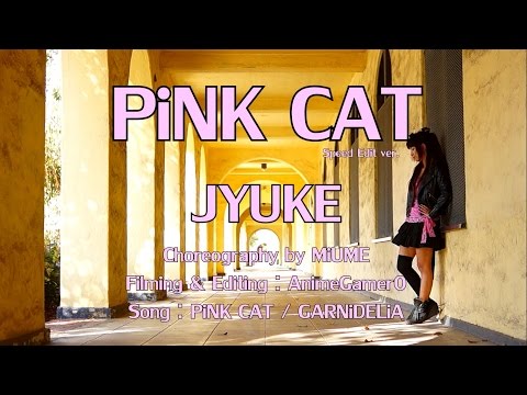 【Jyuke】 PiNK CAT 踊ってみた