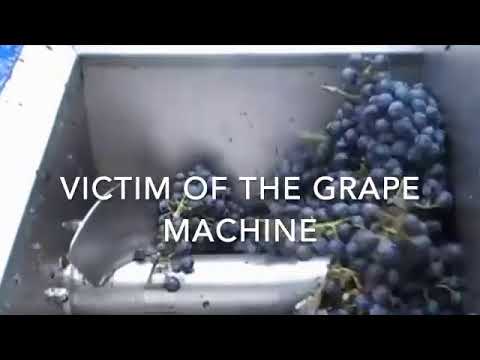 The Grape Machine