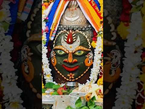 Ujjain MAHAKAL Aarti Darshan | जय श्री महाकाल #mahakal #shorts