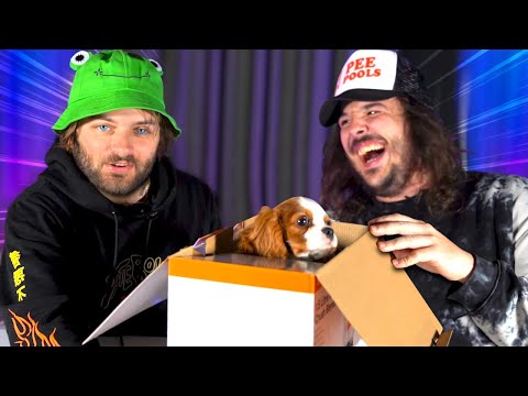 I GOT SENT A PUPPY?! (fan mail edition)