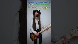 Symphony of Destruction guitar solo as 10 Famous Guitarists #megadeth