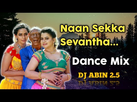 Naan Sekka Sevantha Remix Song | Dance Mix | DJ ABIN 2.5 | Tamil DJ Songs | I am Abin