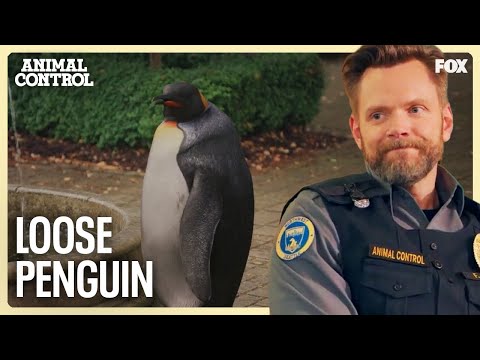 Frank & Shred Track Down the Penguin That’s Been Evading Them | Animal Control