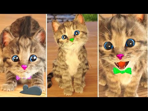 SNOWY LITTLE KITTEN ADVENTURE SPECIAL - NEW EDUCATIONAL SONGS AND LEARN THE ALPHABET PLAYFULLY