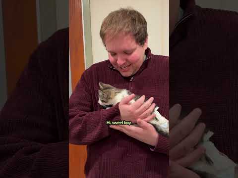 Meet A 3-Month-Old Paraplegic Kitten | The Pack