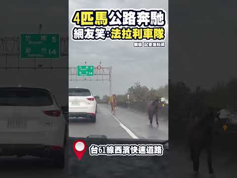 4匹馬公路奔馳 網友笑:法拉利車隊 #shorts #交通 #安全 #動物 #快速道路@ChinaTimes​