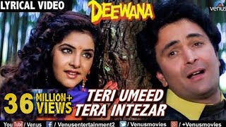 Teri Umeed Tera Intezar - LYRICAL VIDEO | Deewana | Rishi Kapoor, Divya Bharti | 90's Romantic Song