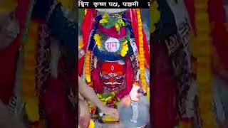 Mahakaleshwar live darshan (Mahakaleshwar Ujjain live aarti) #mahakaleshwar #ujjain #live #shorts