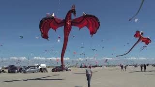 1000s of flying kites on the beach! Fanø, Denmark 🇩🇰