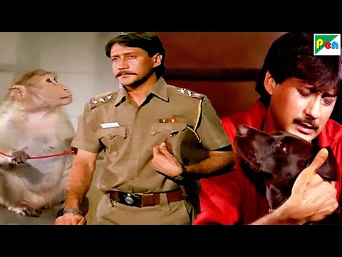 बजरंगबली बन्दर, वफादार कुत्ता, Jackie Shroff की मूवीज Jawab Hum Denge और Teri Meherbaniyan के सीन्स