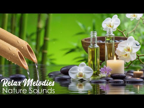 Relaxing Spa Music • Gentle Sounds of Water 🌿 Relieves Stress and Anxiety